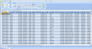 PowerPivot
