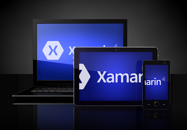 Will Flutter Become a Xamarin Option? -- Visual Studio Magazine