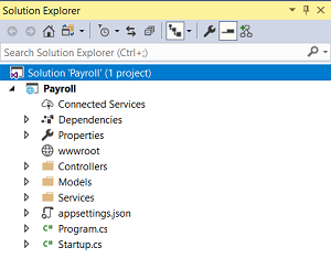 The Project in Solution Explorer