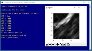 A U-Matrix Created from the Iris Dataset