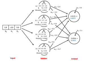 figure 2: The Demo RBF Network