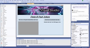 The Visual Studio 2022 WinForms Program