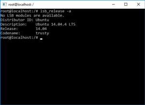 Windows Subsystem for Linux as Seen Through the Bash Prompt 