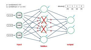 The Neural Network Dropout Mechanism