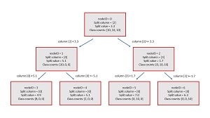 Structure of the Demo Decision Tree