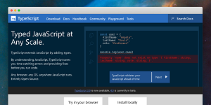 The New TypeScript Web Site