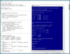 Figure 1: LightGBM Binary Classification in Action