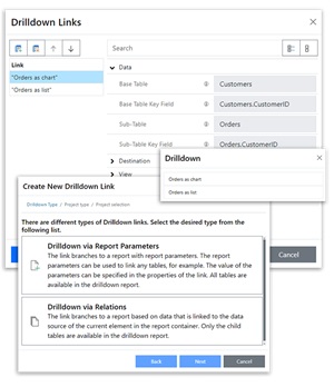 Drilldown Function in the Web Report Designer