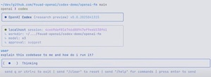 Video Screen Capture of Codex CLI in Action