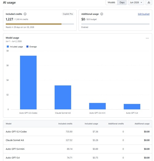 AI Usage
